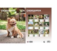 Chihuahua 2026 Calendar - A3 Size 30 x 42 cm, 12 Months of Great Photography