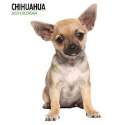 Chihuahua 2027 Modern Calendar