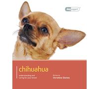 Chihuahua: Chihuahua - Dog Expert