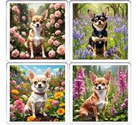 Chihuahua Coaster Set. 4 different Chihuahua Dog Pictures on 10cm x 10cm Acrylic Coasters. Boxed Coaster Drip Mat Set.