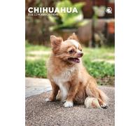 Chihuahua Dog 2026 Calendar, A3, Wirobound, Full Colour