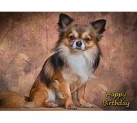 Chihuahua Dog Birthday Card