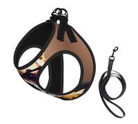 Chihuahua Dog Glasses 1 Print Dog Harness with Leash Set with Thickened Padded Vest for Extra-Small/Small Medium Dogs