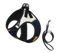 Chihuahua Dog Glasses Harness Leash Set for Cat and Dog, Reflective Vest for Small Pets Walking Escape-Proof