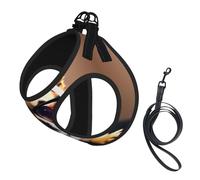 Chihuahua Dog Glasses Harness Leash Set for Cat and Dog, Reflective Vest for Small Pets Walking Escape-Proof