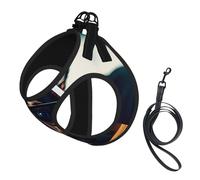 Chihuahua Dog Glasses Print Dog Harness with Leash Set with Thickened Padded Vest for Extra-Small/Small Medium Dogs