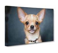 Chihuahua Dog No.2 Canvas Print | Gallery Wrapped 30mm Frame Wall Art | 20x14 inches | Ready to Hang | Modern Animals Picture | Living Room Bedroom Lounge Office