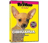 CHIHUAHUA DVD: Everything You Should Know! Dog & Puppy Training Bonus Included
