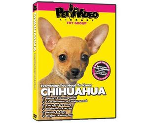 CHIHUAHUA DVD: Everything You Should Know! Dog & Puppy Training Bonus Included