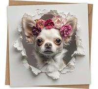 Chihuahua Greeting Card - Funny Dog Head Through Wall Greeting Birthday Card with Kraft Envelope