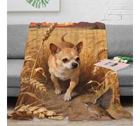 Chihuahua Home Throw Blanket for Couch Or Bed Blankets - Cozy Soft Lightweight Fuzzy Suitable for All Seasons Gifts 40x50inch(100x130cm)