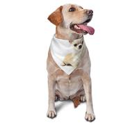 Chihuahua Isolated Animals Wildlife Purebred MammalDog Bandanas Cat Puppy Scarfs Washable Pet Handkerchief