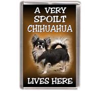 Chihuahua Longcoat (No.6) Dog Fridge Magnet "A Very Spoilt Chihuahua Lives HERE"