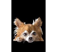 Chihuahua Notebook: Chiwawa Long Hair Dog: Chihuahua Composition Notebook 120 College Ruled Lined Pages 6x9 Chiwawa Gift Book for Women Mom Mommy Girl Men Dad Daddy Dog Lover