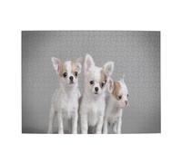 Chihuahua Puppies,500 Pieces Puzzles for Adults-Wooden Jigsaw Puzzle for Adults Elderly