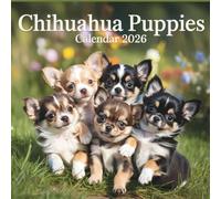 Chihuahua Puppies Calendar 2026: A Year of Tiny, Adorable, and Playful Puppies