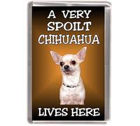 Chihuahua Smoothcoat (No.4) Dog Fridge Magnet "A Very Spoilt Chihuahua Lives HERE"