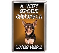 Chihuahua Smoothcoat (No.5) Dog Fridge Magnet "A Very Spoilt Chihuahua Lives HERE"