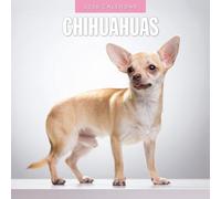 Chihuahuas - 2026 Square Wall Calendar - by Red Robin Publishing