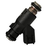 Chikia Hisun 250 Fuel Injector For Hisun UTV ATV 250,Massimo Gunner,Bennche Cowboy,Coleman UT250,Spire(2 Hole)