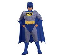 Rubies The Brave And The Bold Batman Costume