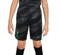 Child Guard Shorts Liverpool FC Stadium 2023/24 Gris 10/12 ans