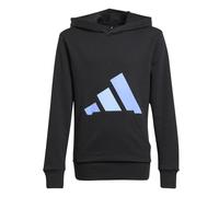 adidas Unisex Kids ESSENTIALS BIG LOGO HOODIE, black/blue fusion/glow blue, 13-14 Years