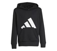 Adidas Hoodie Essentials Big Logo Black Kids 7-8 Years