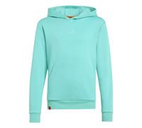 Adidas Minecraft Terrex Hoodie Green 13-14 Years Boys,Girls