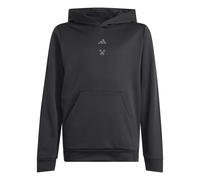 adidas Unisex Kids MINECRAFT TRAINING HOODIE, black, 15-16 Years