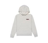 Child hoodie DC Shoes Eye Of The Storm Gris 14 ans