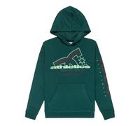 Child hoodie DC Shoes Slathletic Vert 12 ans