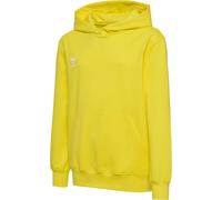 Hummel Kinder Sweatshirts & hoodies Hmlgo 2.0 Hoodie Kids