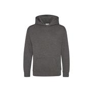 Child hoodie Just Hoods Gris 5/6 ans