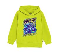 Child hoodie Lego Lwsaku 608 Vert 5 ans