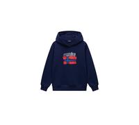 Napapijri Albedo Fleece Hoodie Blue 8 Years Kids