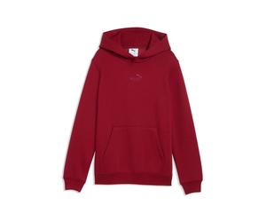 Child hoodie Puma Ess Small No.1 Logo 14 years