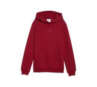 Child hoodie Puma Ess Small No.1 Logo 8 years