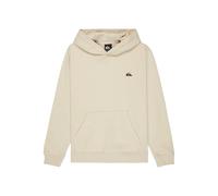 Quiksilver Long Sleeve Pullover Hoodie BASIC HOODIE YOUTH Youth White 8
