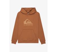 Child hoodie Quiksilver Comp Logo Marron 12 ans