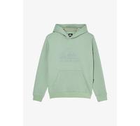 Child hoodie Quiksilver Comp Logo Vert 10 ans