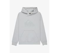 Child hoodie Quiksilver Comp Logo Vert 12 ans