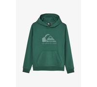 Child hoodie Quiksilver Comp Logo Vert 16 ans