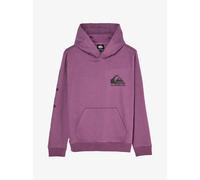 Child hoodie Quiksilver Omni Logo Violet 10 ans