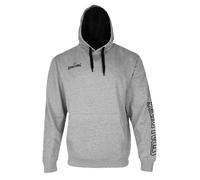 Child hoodie Spalding Team II Gris 6 ans