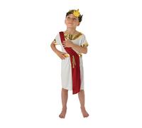 Child ROMAN BOY Julies Caesar King Greek Toga Outfit Fancy Dress Costume Age 3-8