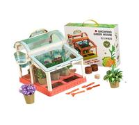 Child Safe See Through Plant Growing Container Ideal for Balcony or Yard with Quick Assembly Educational Planting Set