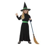 Wicked Witch Costume