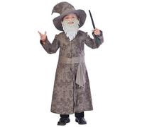 Child Wise Wizard Gandalf Dumbledore Style Fancy Dress Book Day Costume