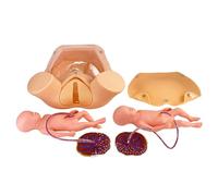 Childbirth Anatomical Model for Education - Natural Delivery Simulation Tool for Nurse and Doctor Training